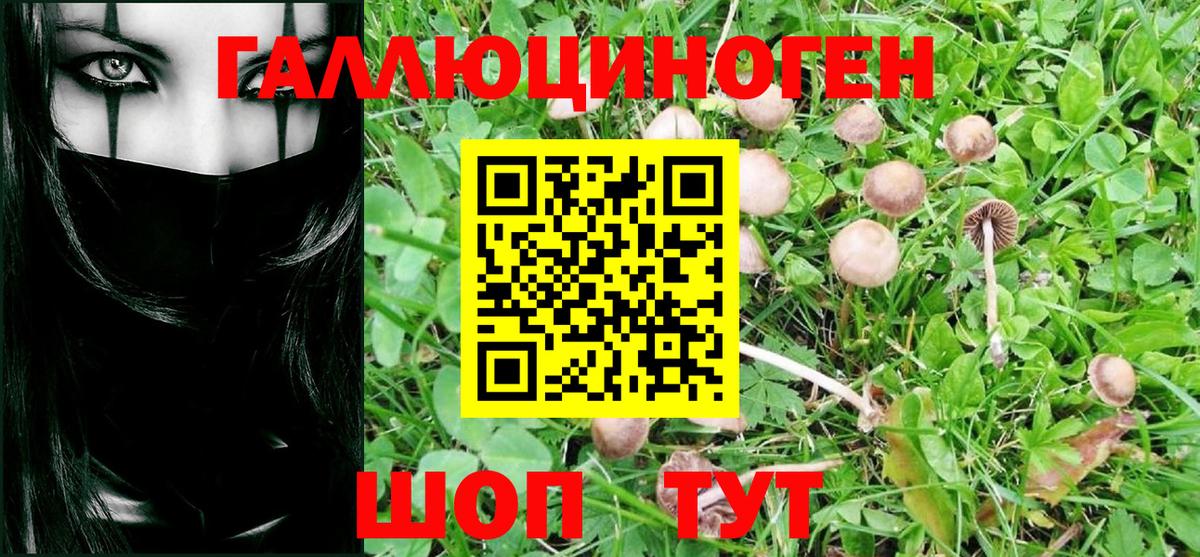 Псилоцибиновые грибы мухоморы Серов