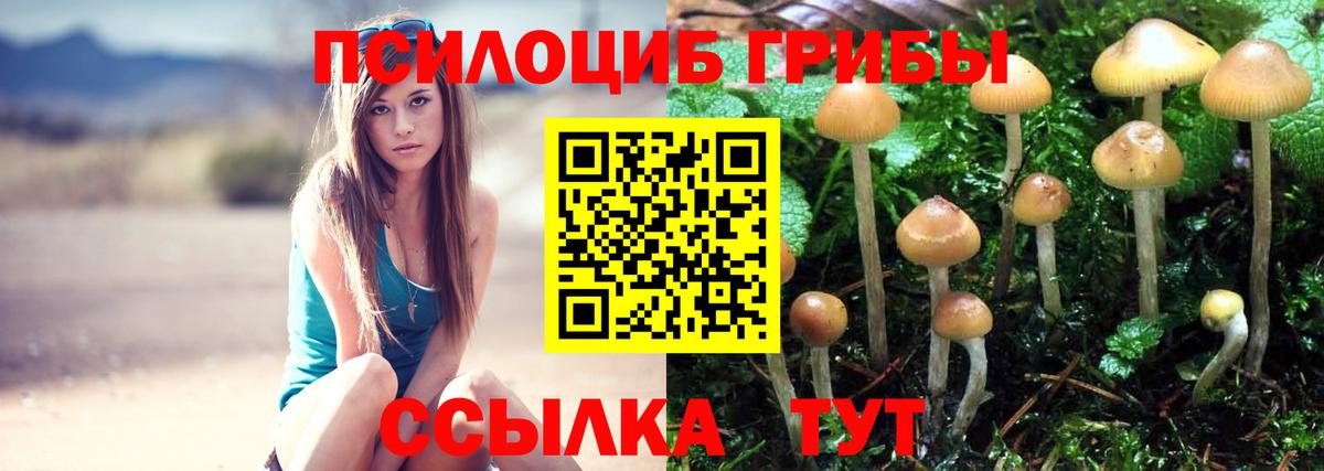 Псилоцибиновые грибы MAGIC MUSHROOMS  Вход с VPN  Серов 